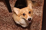 IMG_1588.jpg
