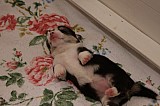 IMG_1591.jpg
