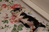 IMG_1592.jpg