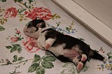 IMG_1593.jpg