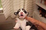 IMG_1595.jpg