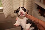 IMG_1596.jpg