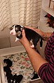 IMG_1600.jpg