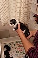 IMG_1601.jpg
