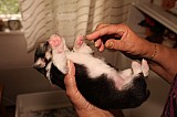 IMG_1602.jpg