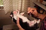 IMG_1603.jpg