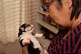 IMG_1604.jpg