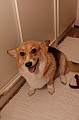 IMG_1605.jpg