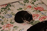IMG_1608.jpg