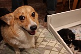 IMG_1614.jpg