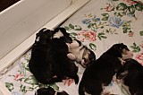 IMG_1620.jpg