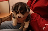IMG_1876.jpg