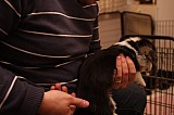 IMG_1877.jpg