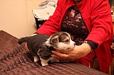 IMG_1879.jpg