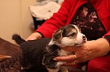 IMG_1880.jpg
