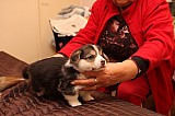 IMG_1881.jpg