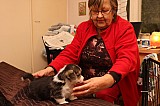 IMG_1882.jpg