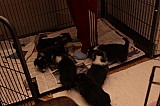IMG_1890.jpg