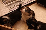 IMG_1893.jpg