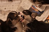 IMG_1894.jpg