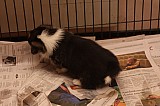 IMG_1896.jpg
