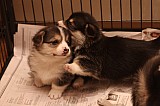 IMG_1897.jpg