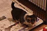 IMG_1898.jpg
