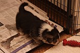 IMG_1899.jpg