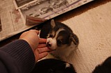 IMG_1902.jpg