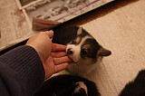 IMG_1904.jpg