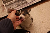 IMG_1905.jpg