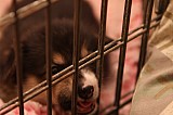 IMG_1906.jpg