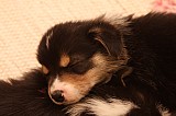 IMG_1907.jpg
