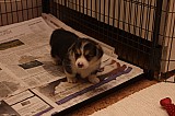 IMG_1908.jpg