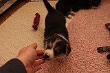 IMG_1910.jpg