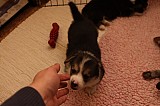 IMG_1911.jpg