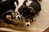 IMG_2450.jpg