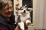 IMG_2452.jpg