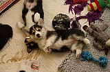 IMG_2457.jpg
