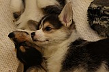 IMG_2458.jpg
