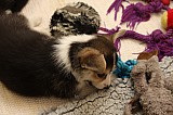 IMG_2463.jpg