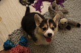 IMG_2467.jpg