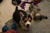 IMG_2468.jpg