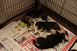 IMG_2474.jpg