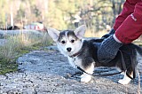 IMG_3307.jpg