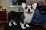 IMG_3319.jpg