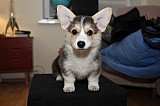 IMG_3323.jpg