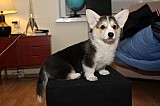 IMG_3327.jpg