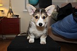 IMG_3333.jpg