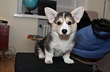 IMG_3338.jpg
